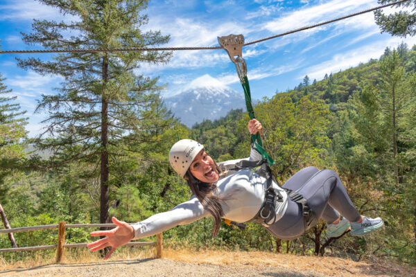 Zipline rachel 2022